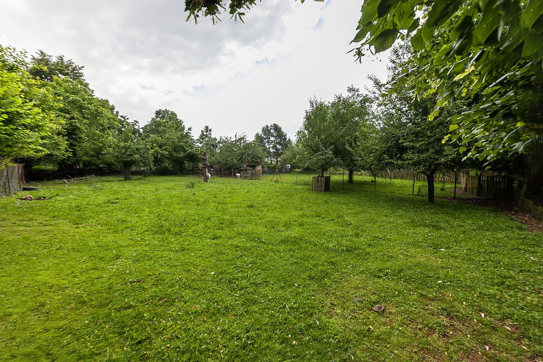 plot for sale, 1,559 m², Nová Ves, Jihomoravský Region plot for sale, 1,559 m², Nová Ves, Jihomoravský Region