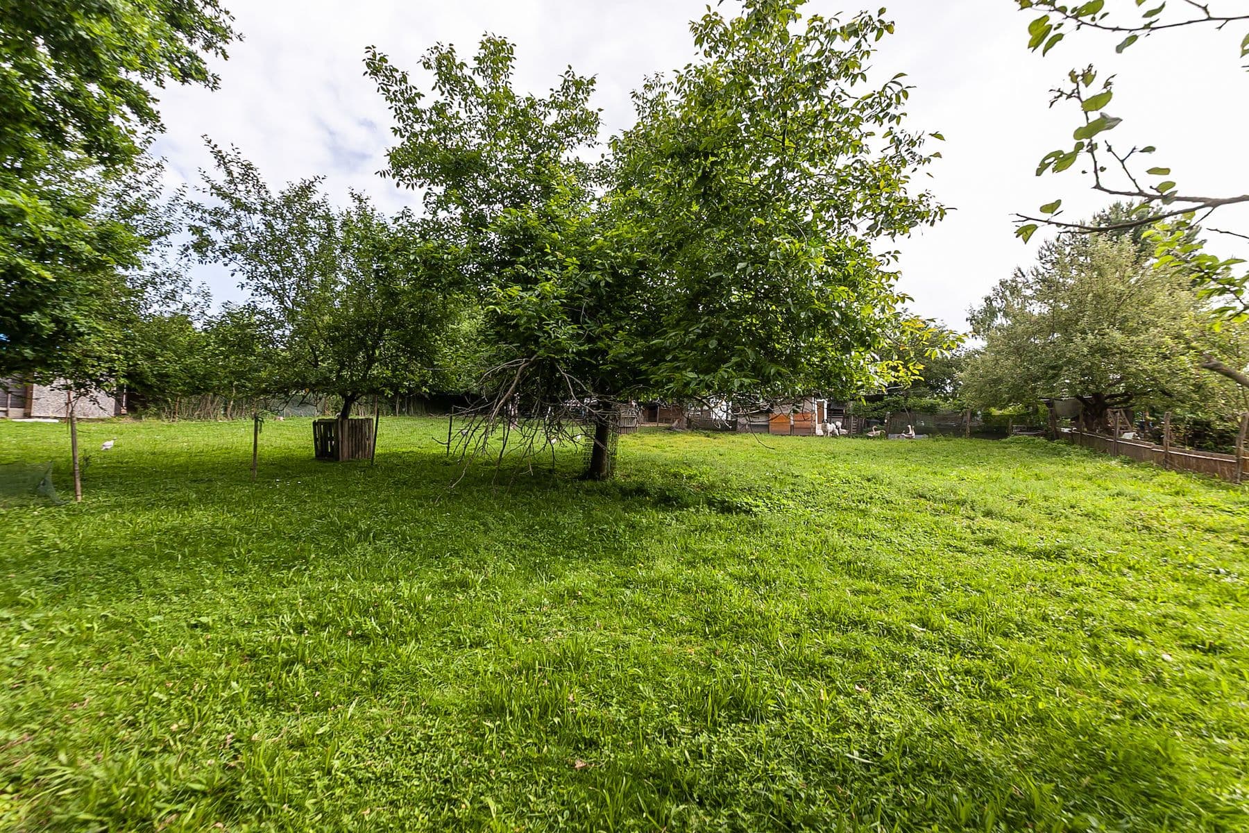 plot for sale, 1,559 m², Nová Ves, Jihomoravský Region plot for sale, 1,559 m², Nová Ves, Jihomoravský Region