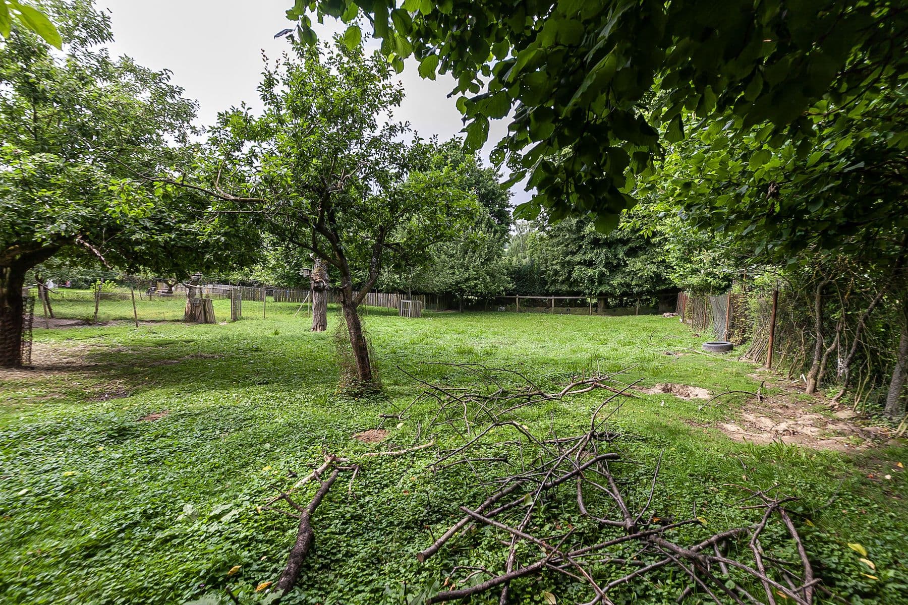 plot for sale, 1,559 m², Nová Ves, Jihomoravský Region plot for sale, 1,559 m², Nová Ves, Jihomoravský Region