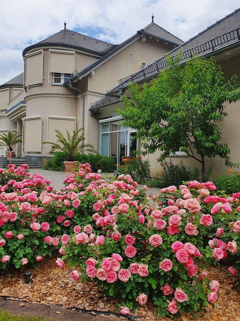 house for sale, 1,082 m², Kolkwitz, Brandenburg house for sale, 1,082 m², Kolkwitz, Brandenburg