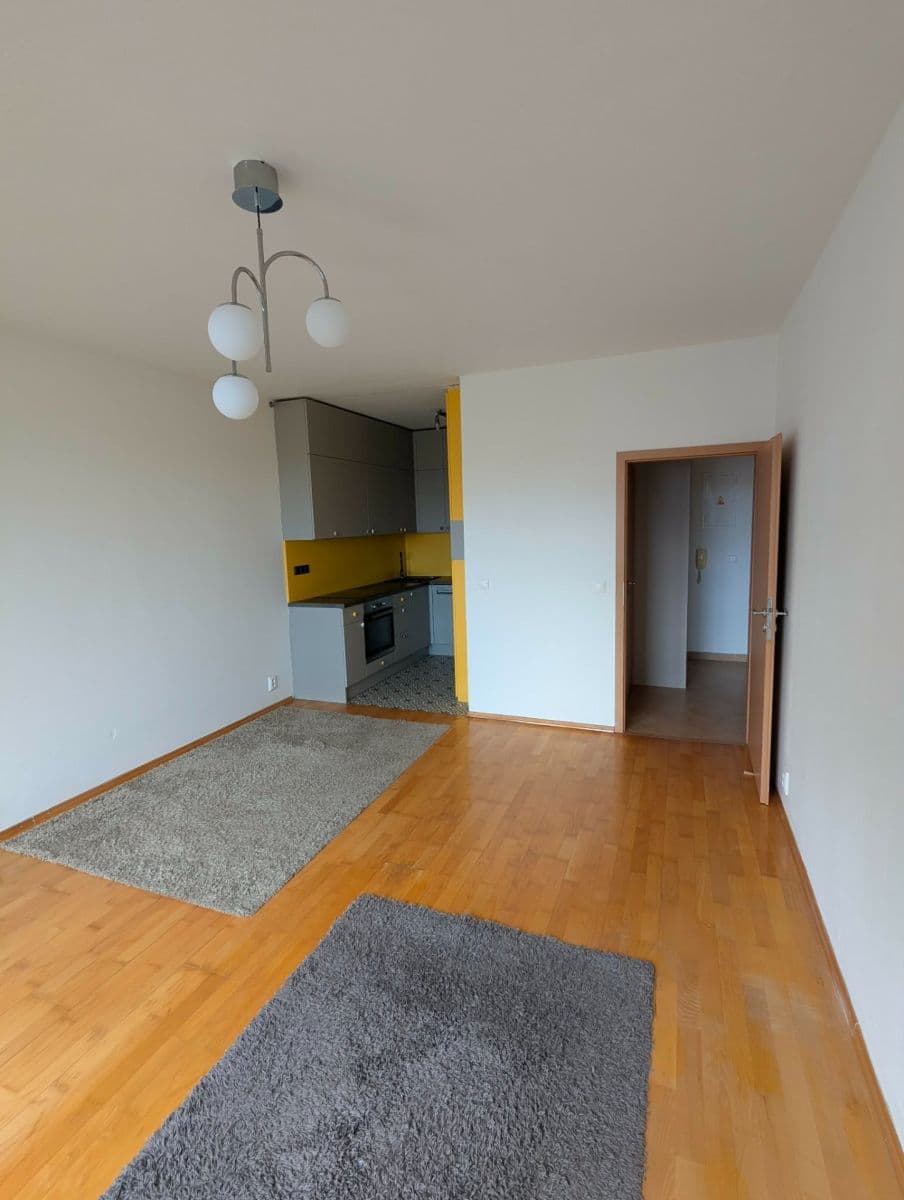 1 bedroom with open-plan kitchen flat to rent, 53 m², Na Neklance, Prague, Prague 1 bedroom with open-plan kitchen flat to rent, 53 m², Na Neklance, Prague, Prague
