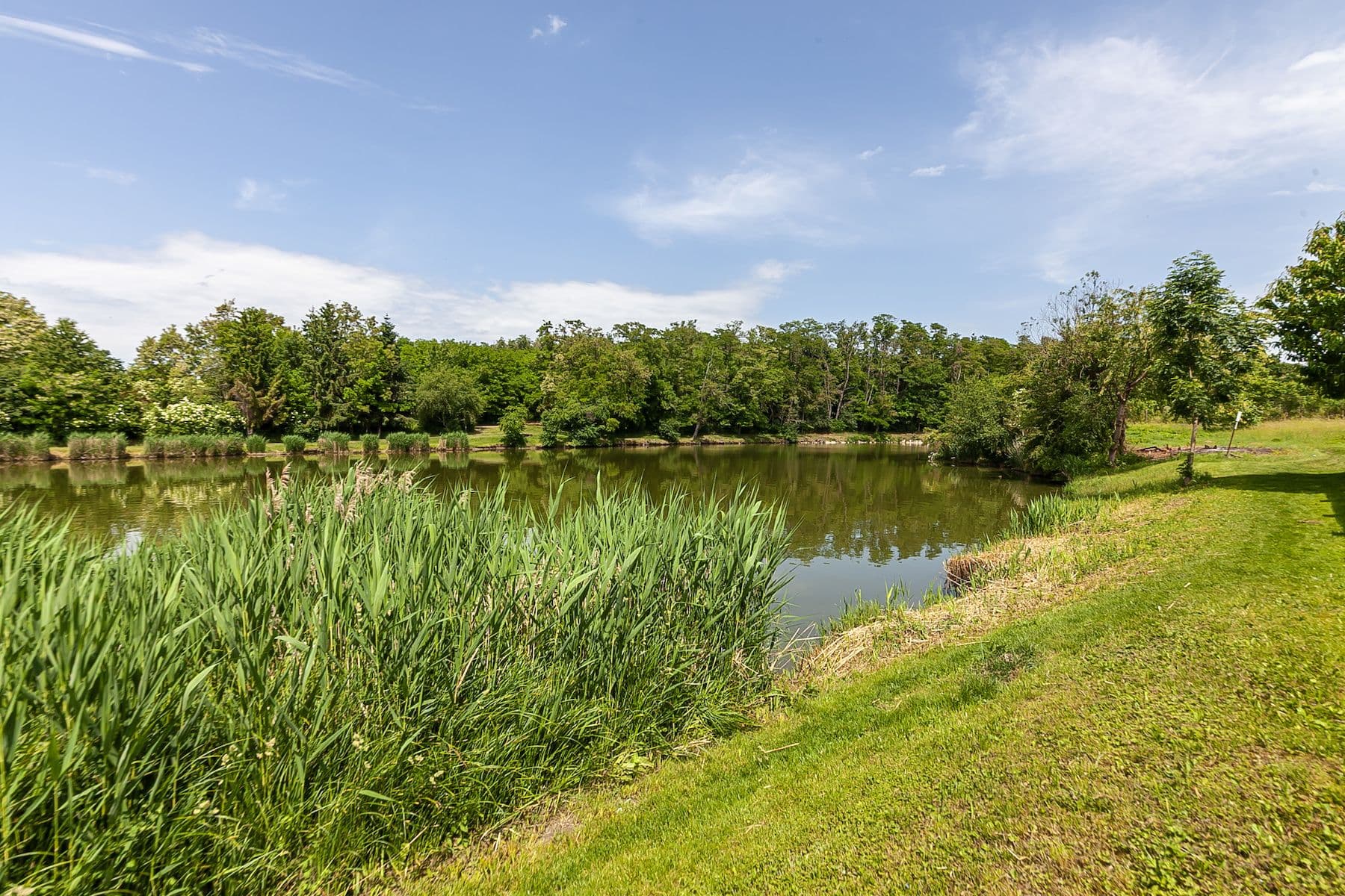 plot for sale, 1,636 m², Odolena Voda, Středočeský Region plot for sale, 1,636 m², Odolena Voda, Středočeský Region
