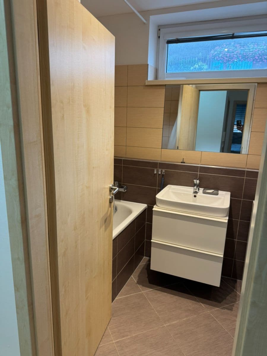 1 bedroom with open-plan kitchen flat for sale, 65 m², U Leskavy, Brno, Jihomoravský Region 1 bedroom with open-plan kitchen flat for sale, 65 m², U Leskavy, Brno, Jihomoravský Region