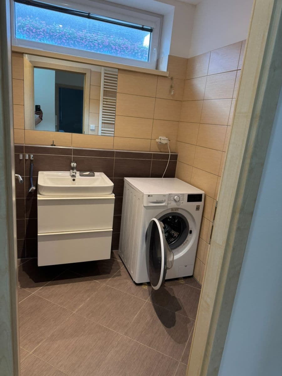 1 bedroom with open-plan kitchen flat for sale, 65 m², U Leskavy, Brno, Jihomoravský Region 1 bedroom with open-plan kitchen flat for sale, 65 m², U Leskavy, Brno, Jihomoravský Region