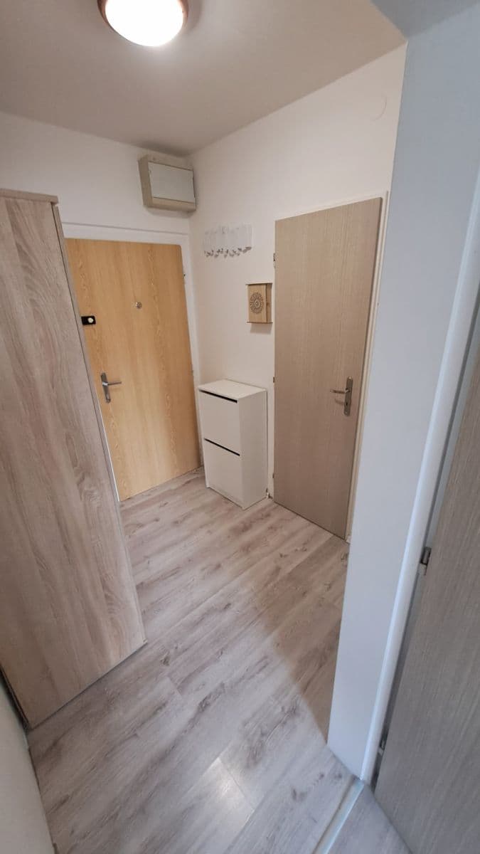 1 bedroom with open-plan kitchen flat to rent, 45 m², Litoměřická, Prague, Prague 1 bedroom with open-plan kitchen flat to rent, 45 m², Litoměřická, Prague, Prague