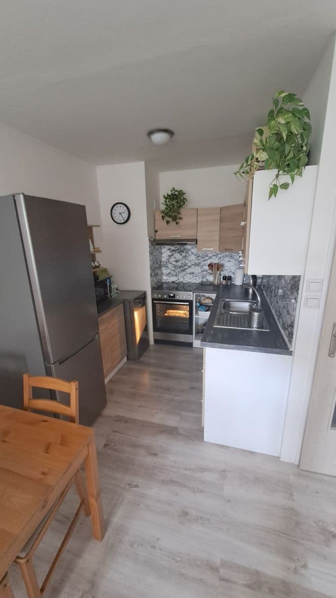 1 bedroom with open-plan kitchen flat to rent, 45 m², Litoměřická, Prague, Prague 1 bedroom with open-plan kitchen flat to rent, 45 m², Litoměřická, Prague, Prague