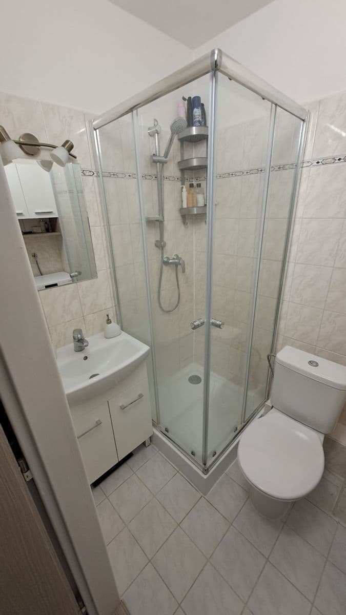 1 bedroom with open-plan kitchen flat to rent, 45 m², Litoměřická, Prague, Prague 1 bedroom with open-plan kitchen flat to rent, 45 m², Litoměřická, Prague, Prague