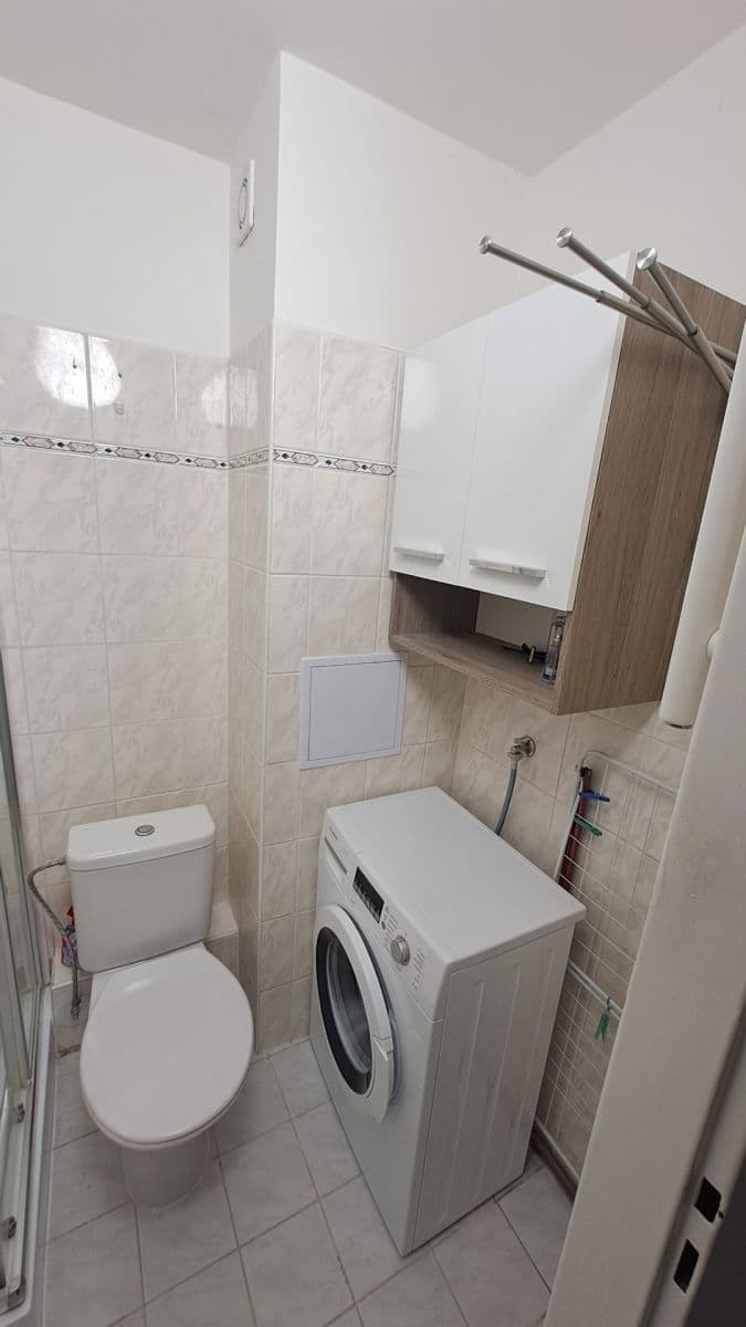 1 bedroom with open-plan kitchen flat to rent, 45 m², Litoměřická, Prague, Prague 1 bedroom with open-plan kitchen flat to rent, 45 m², Litoměřická, Prague, Prague