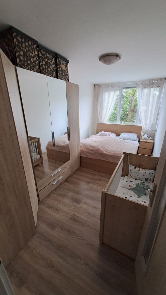 1 bedroom with open-plan kitchen flat to rent, 45 m², Litoměřická, Prague, Prague 1 bedroom with open-plan kitchen flat to rent, 45 m², Litoměřická, Prague, Prague