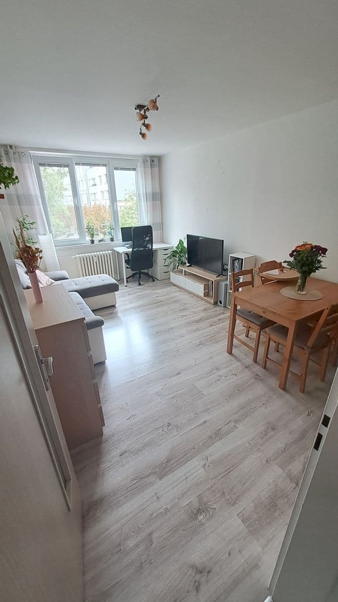 1 bedroom with open-plan kitchen flat to rent, 45 m², Litoměřická, Prague, Prague 1 bedroom with open-plan kitchen flat to rent, 45 m², Litoměřická, Prague, Prague