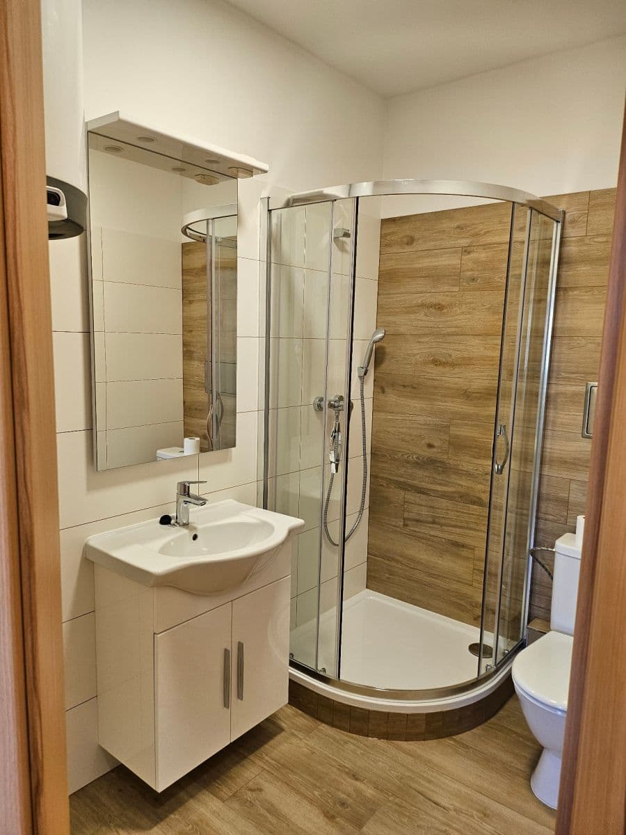 1 bedroom with open-plan kitchen flat to rent, 50 m², Veletržní, Prague, Prague 1 bedroom with open-plan kitchen flat to rent, 50 m², Veletržní, Prague, Prague