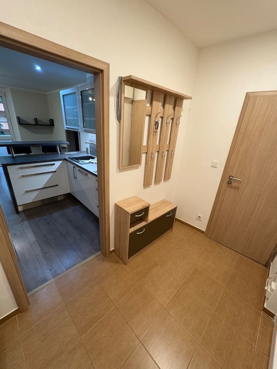 1 bedroom with open-plan kitchen flat to rent, 50 m², Na Vlnovce, Ústí nad Labem, Ústecký Region 1 bedroom with open-plan kitchen flat to rent, 50 m², Na Vlnovce, Ústí nad Labem, Ústecký Region