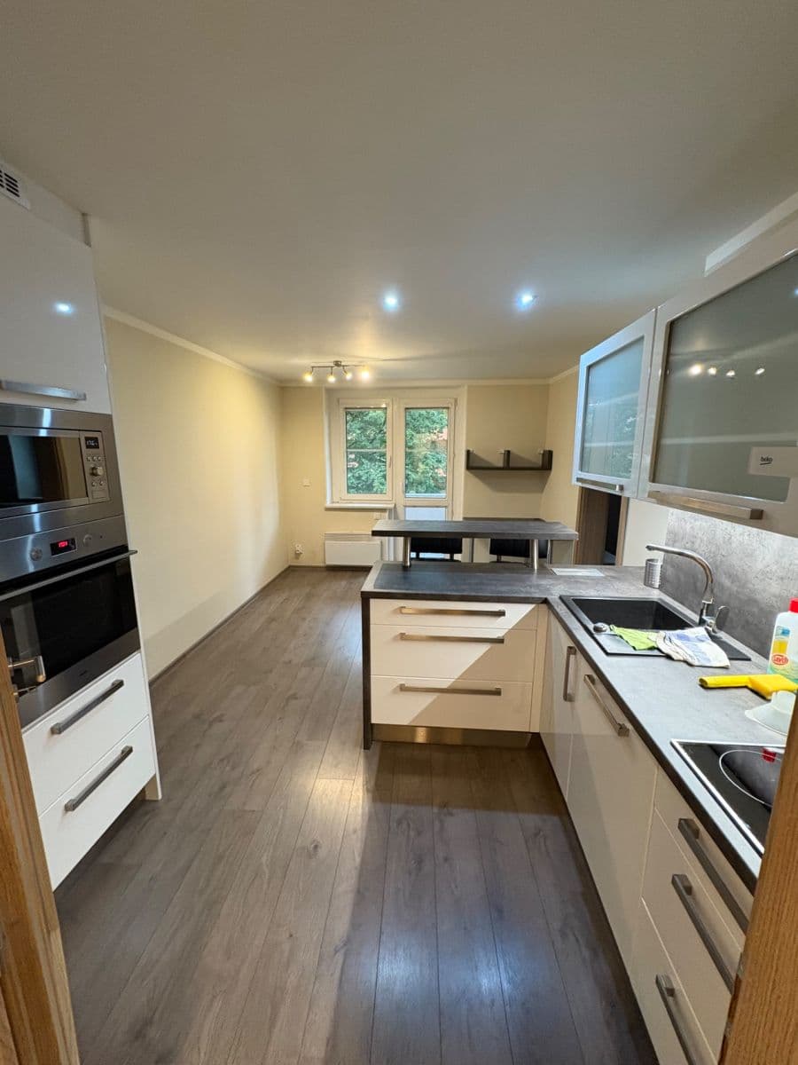 1 bedroom with open-plan kitchen flat to rent, 50 m², Na Vlnovce, Ústí nad Labem, Ústecký Region 1 bedroom with open-plan kitchen flat to rent, 50 m², Na Vlnovce, Ústí nad Labem, Ústecký Region