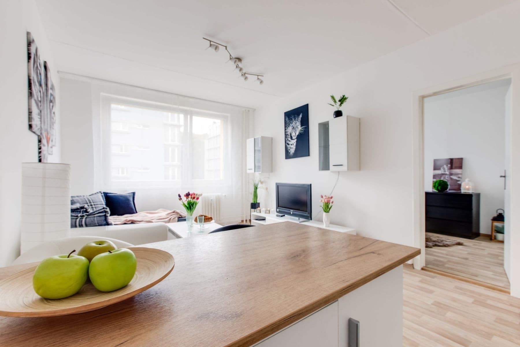 1 bedroom with open-plan kitchen flat to rent, 41 m², Pod Lysinami, Prague, Prague 1 bedroom with open-plan kitchen flat to rent, 41 m², Pod Lysinami, Prague, Prague