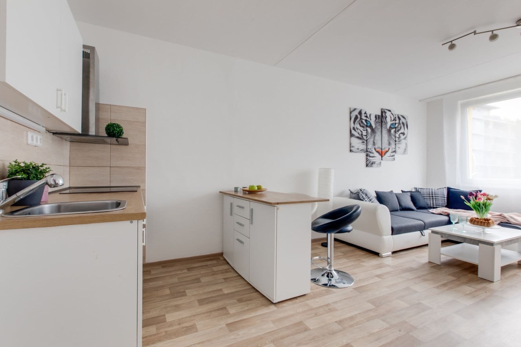 1 bedroom with open-plan kitchen flat to rent, 41 m², Pod Lysinami, Prague, Prague 1 bedroom with open-plan kitchen flat to rent, 41 m², Pod Lysinami, Prague, Prague