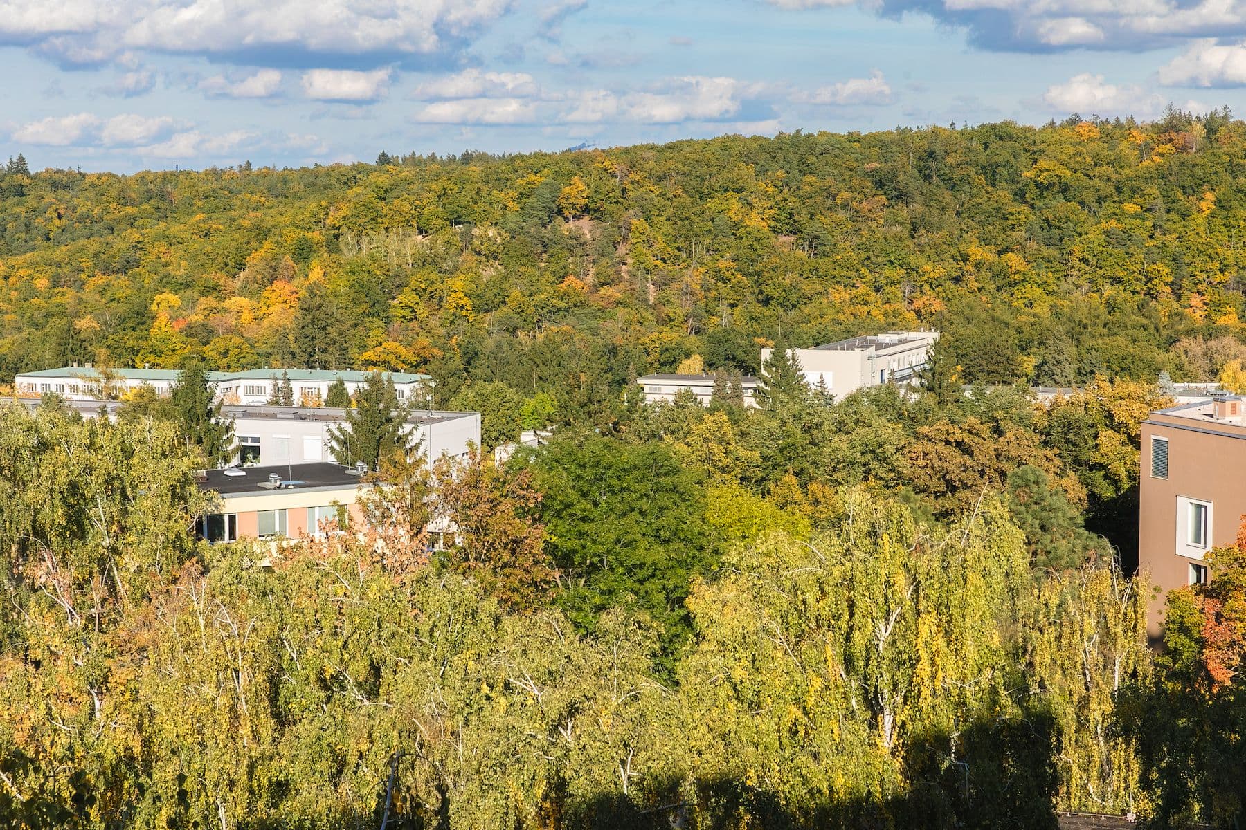 3 bedroom flat for sale, 54 m², Sládkovičova, Prague, Prague 3 bedroom flat for sale, 54 m², Sládkovičova, Prague, Prague