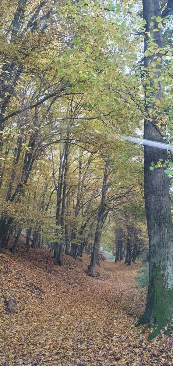 recreational property for sale, 900 m², Bratřínov, Středočeský Region recreational property for sale, 900 m², Bratřínov, Středočeský Region