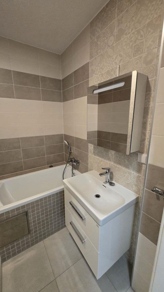 1 bedroom with open-plan kitchen flat to rent, 44 m², Na Nivách, Prague, Prague 1 bedroom with open-plan kitchen flat to rent, 44 m², Na Nivách, Prague, Prague