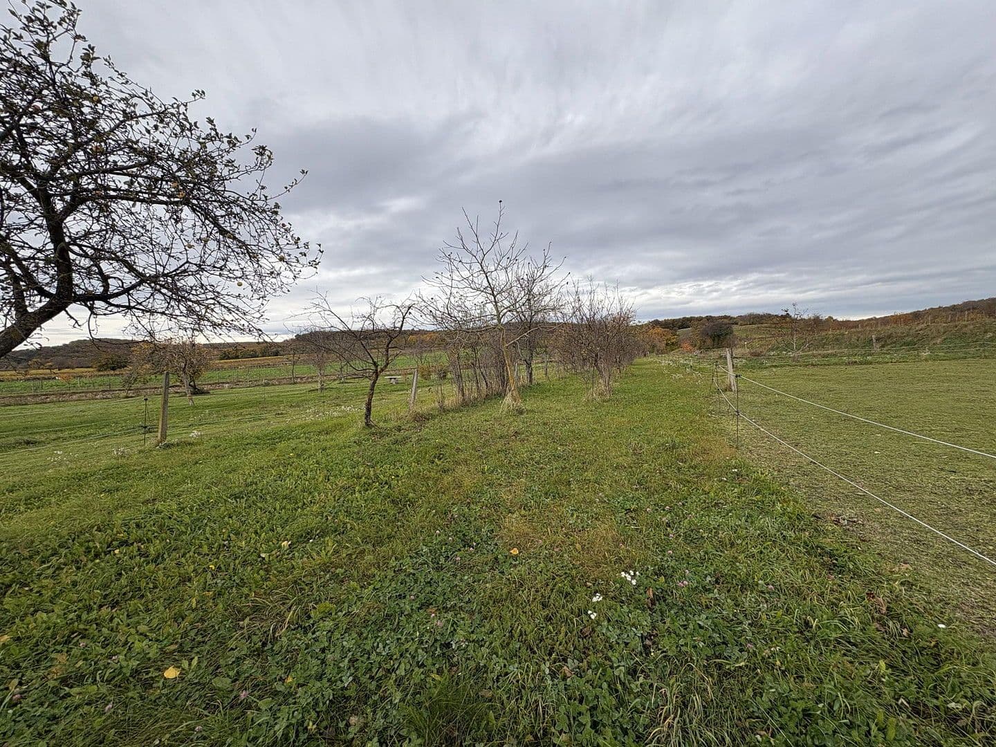 plot for sale, 2,647 m², Eisenstädtestrasse, Breitenbrunn am Neusiedl See, Burgenland plot for sale, 2,647 m², Eisenstädtestrasse, Breitenbrunn am Neusiedl See, Burgenland