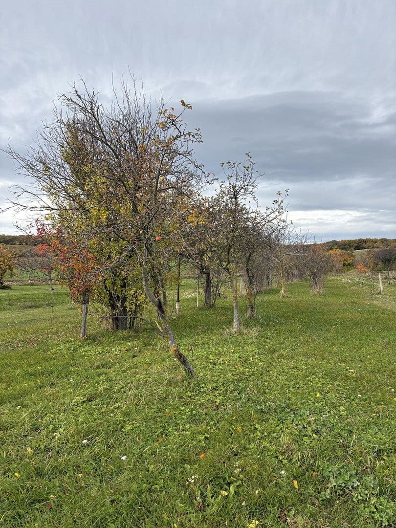 plot for sale, 2,647 m², Eisenstädtestrasse, Breitenbrunn am Neusiedl See, Burgenland plot for sale, 2,647 m², Eisenstädtestrasse, Breitenbrunn am Neusiedl See, Burgenland