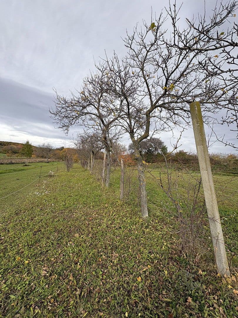 plot for sale, 2,647 m², Eisenstädtestrasse, Breitenbrunn am Neusiedl See, Burgenland plot for sale, 2,647 m², Eisenstädtestrasse, Breitenbrunn am Neusiedl See, Burgenland