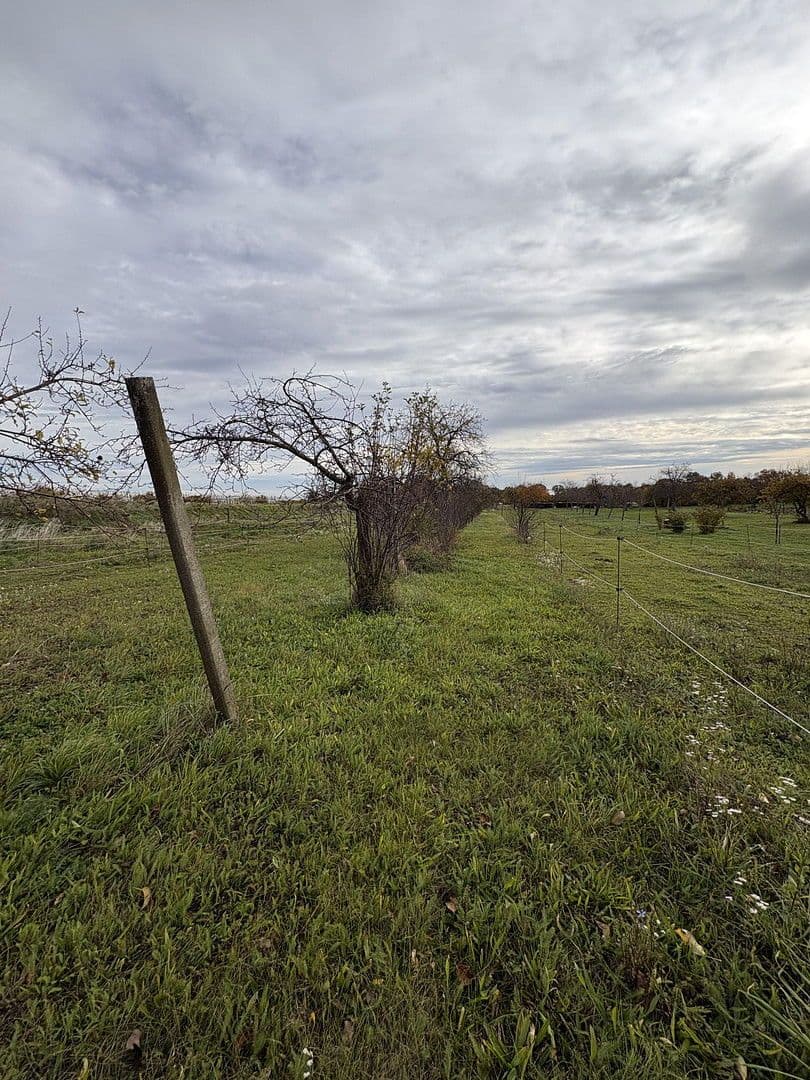 plot for sale, 2,647 m², Eisenstädtestrasse, Breitenbrunn am Neusiedl See, Burgenland plot for sale, 2,647 m², Eisenstädtestrasse, Breitenbrunn am Neusiedl See, Burgenland