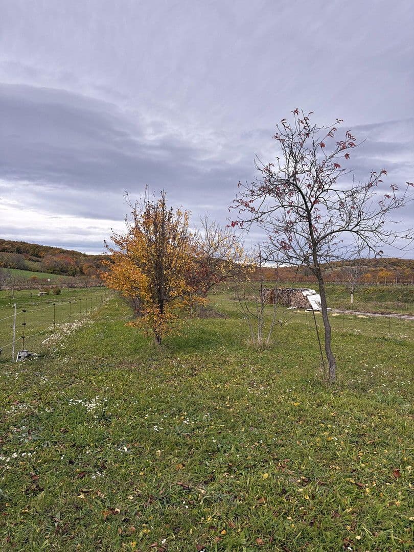 plot for sale, 2,647 m², Eisenstädtestrasse, Breitenbrunn am Neusiedl See, Burgenland plot for sale, 2,647 m², Eisenstädtestrasse, Breitenbrunn am Neusiedl See, Burgenland