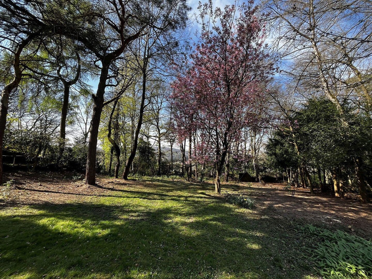 house for sale, 347 m², Overath, North Rhine-Westphalia house for sale, 347 m², Overath, North Rhine-Westphalia