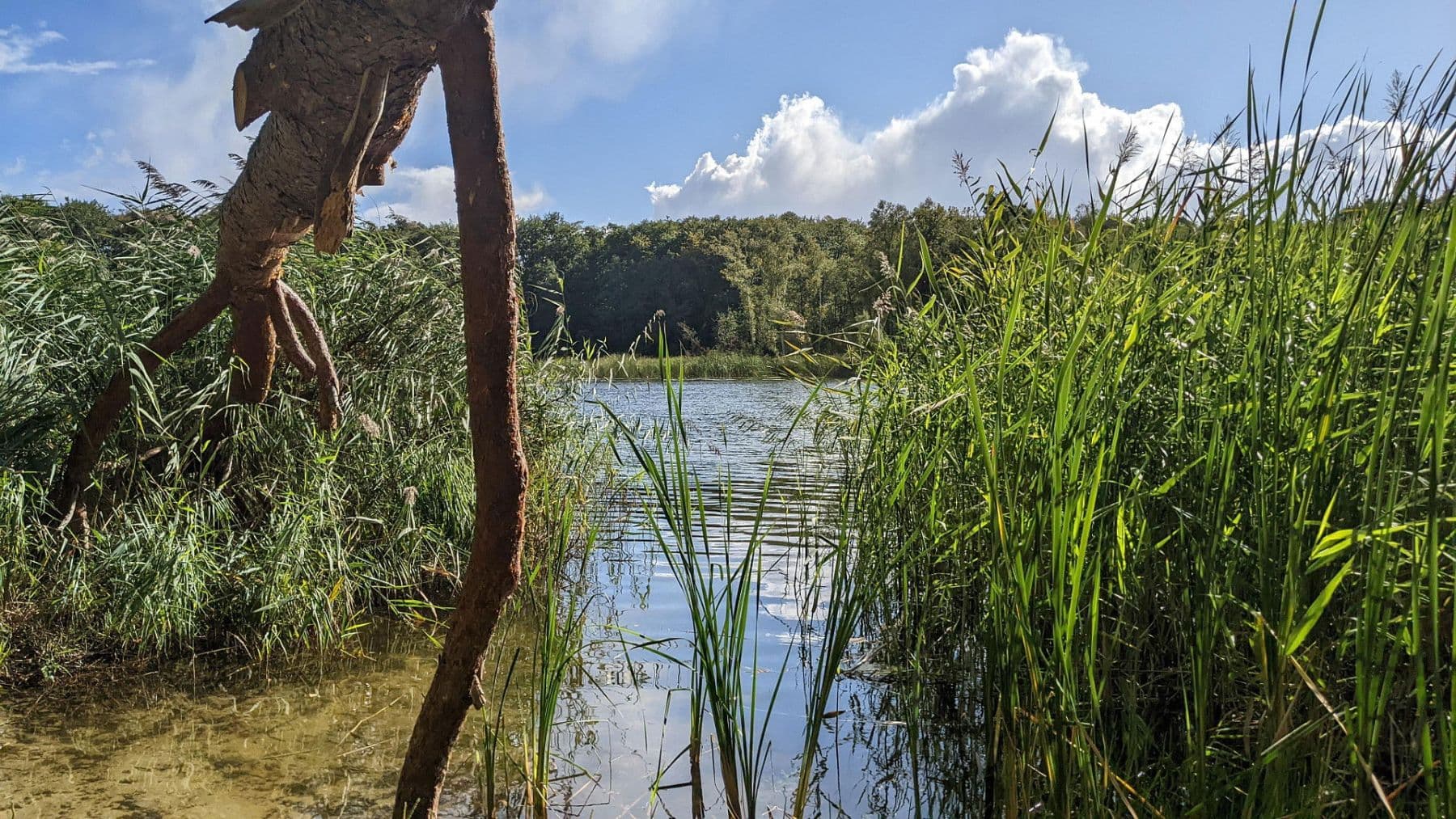 house for sale, 105 m², Gramzow, Brandenburg house for sale, 105 m², Gramzow, Brandenburg