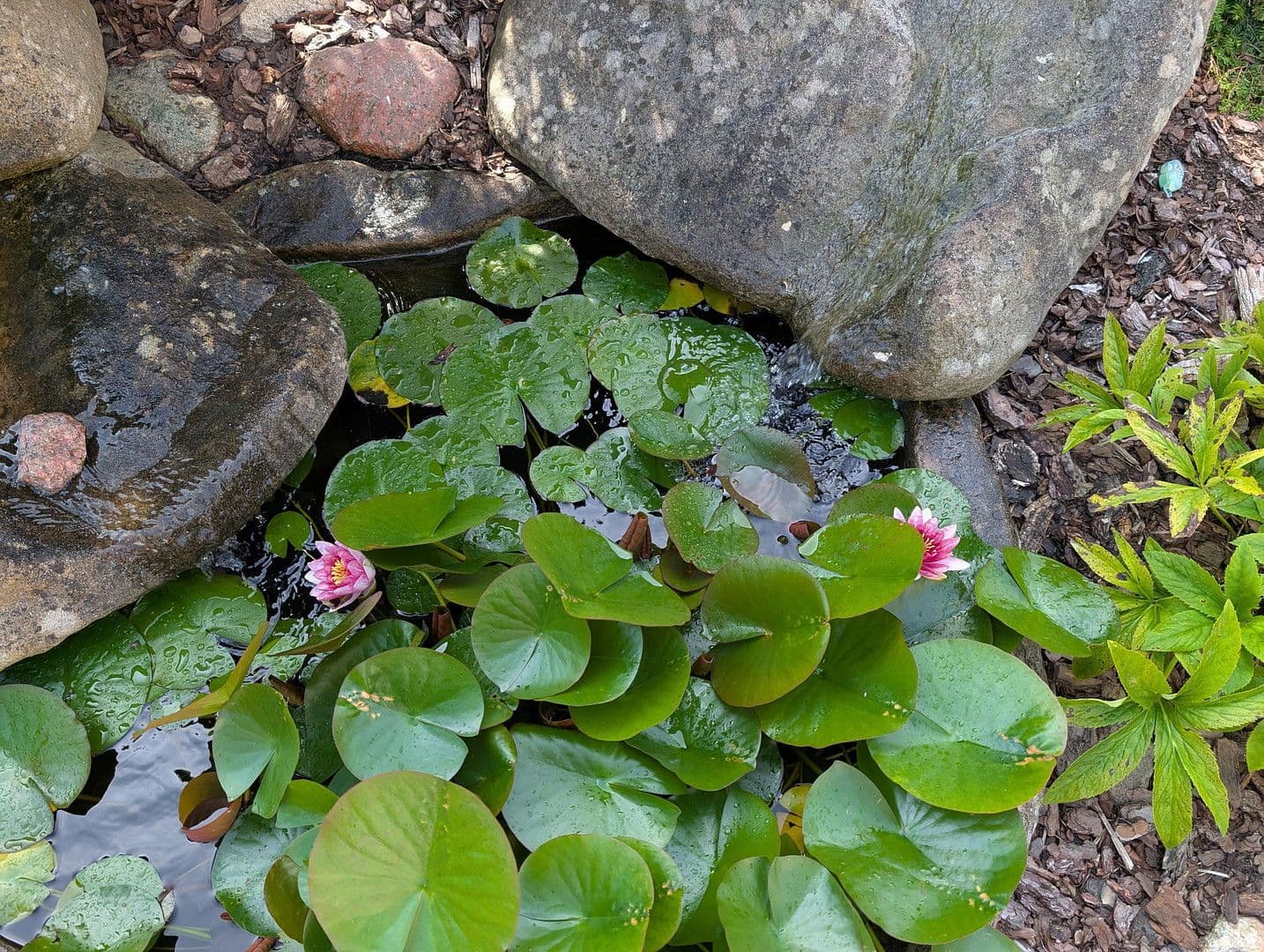 house for sale, 105 m², Gramzow, Brandenburg house for sale, 105 m², Gramzow, Brandenburg