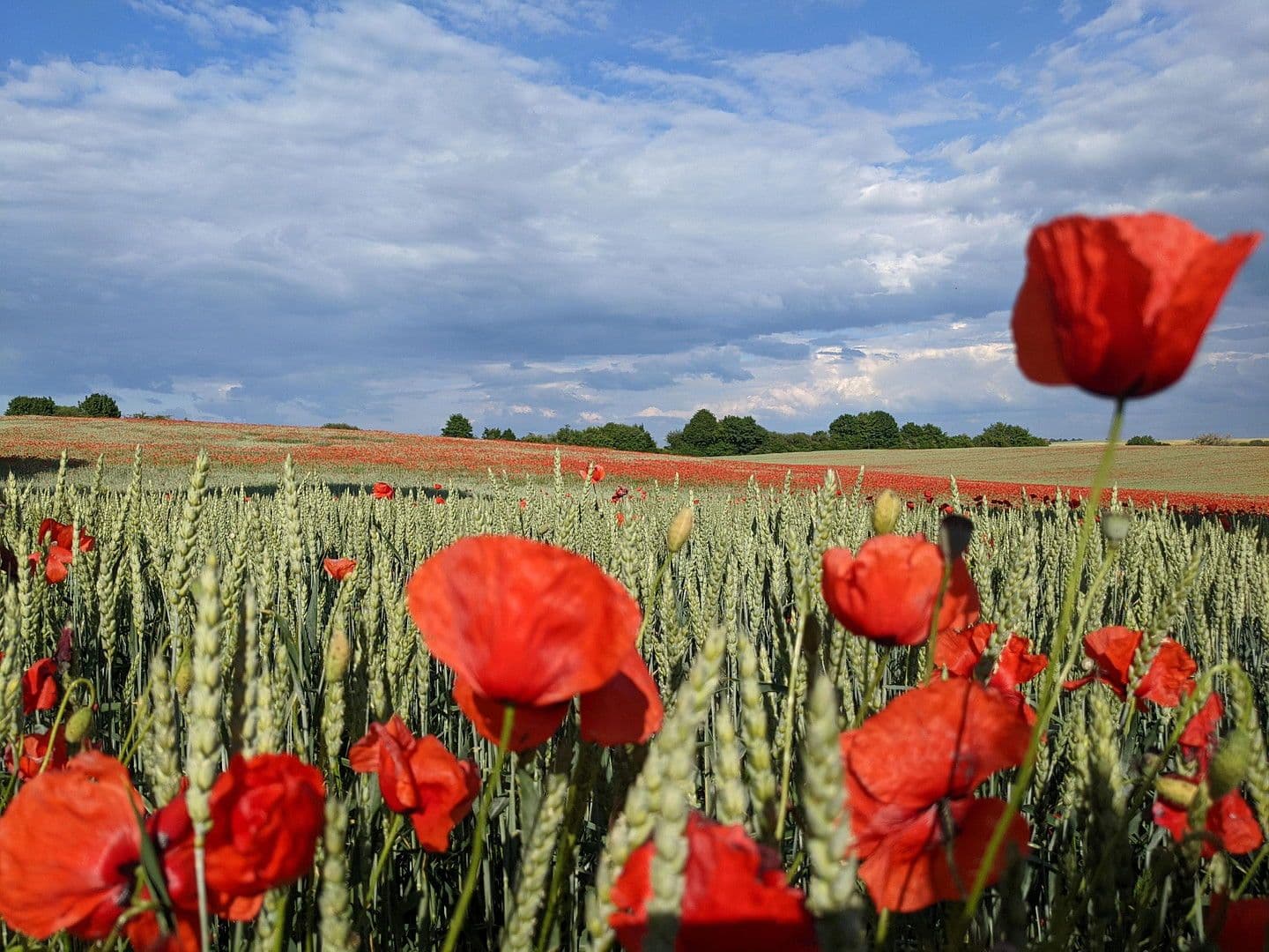 house for sale, 105 m², Gramzow, Brandenburg house for sale, 105 m², Gramzow, Brandenburg