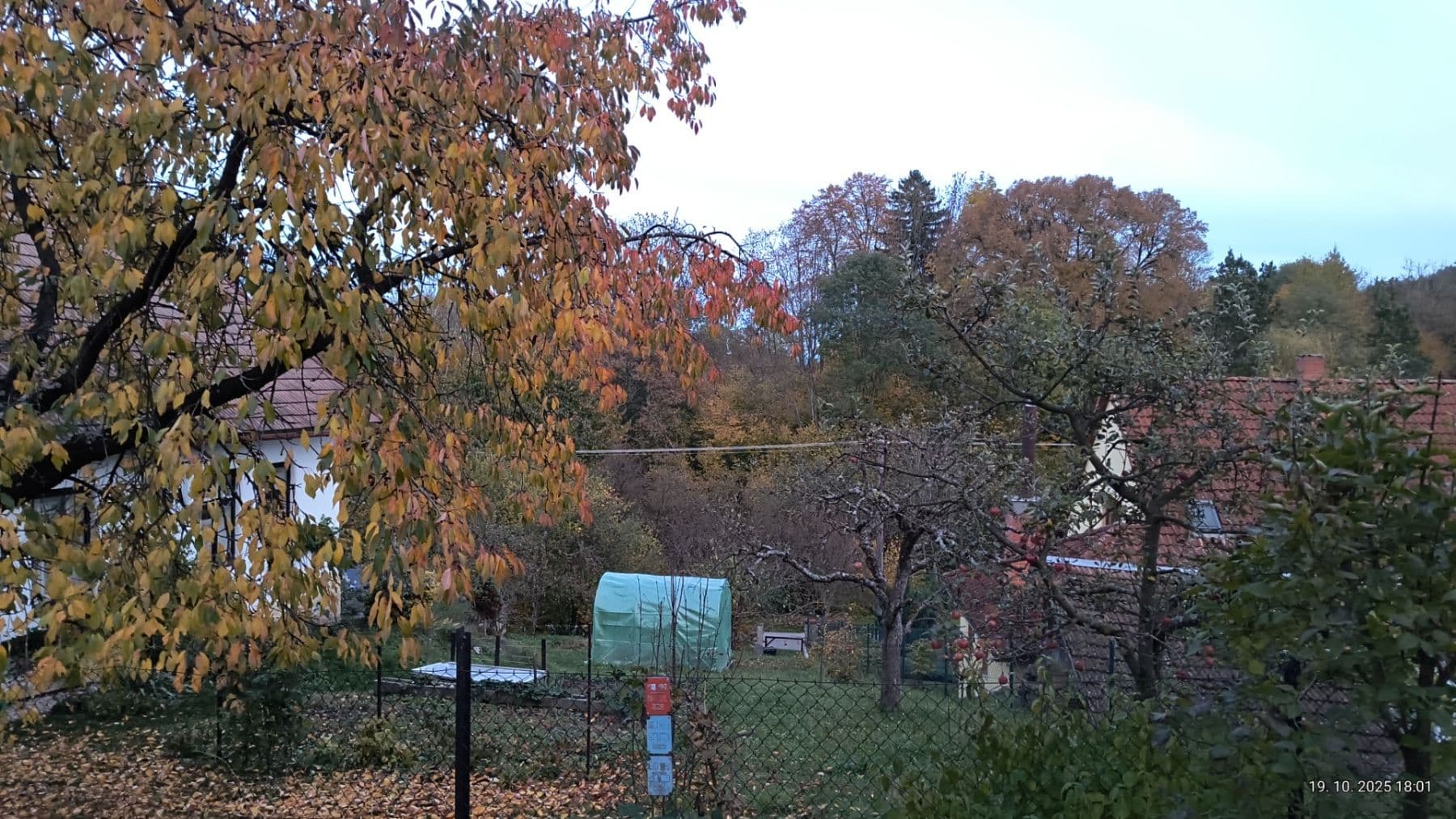 recreational property for sale, 800 m², Luže, Pardubický Region recreational property for sale, 800 m², Luže, Pardubický Region