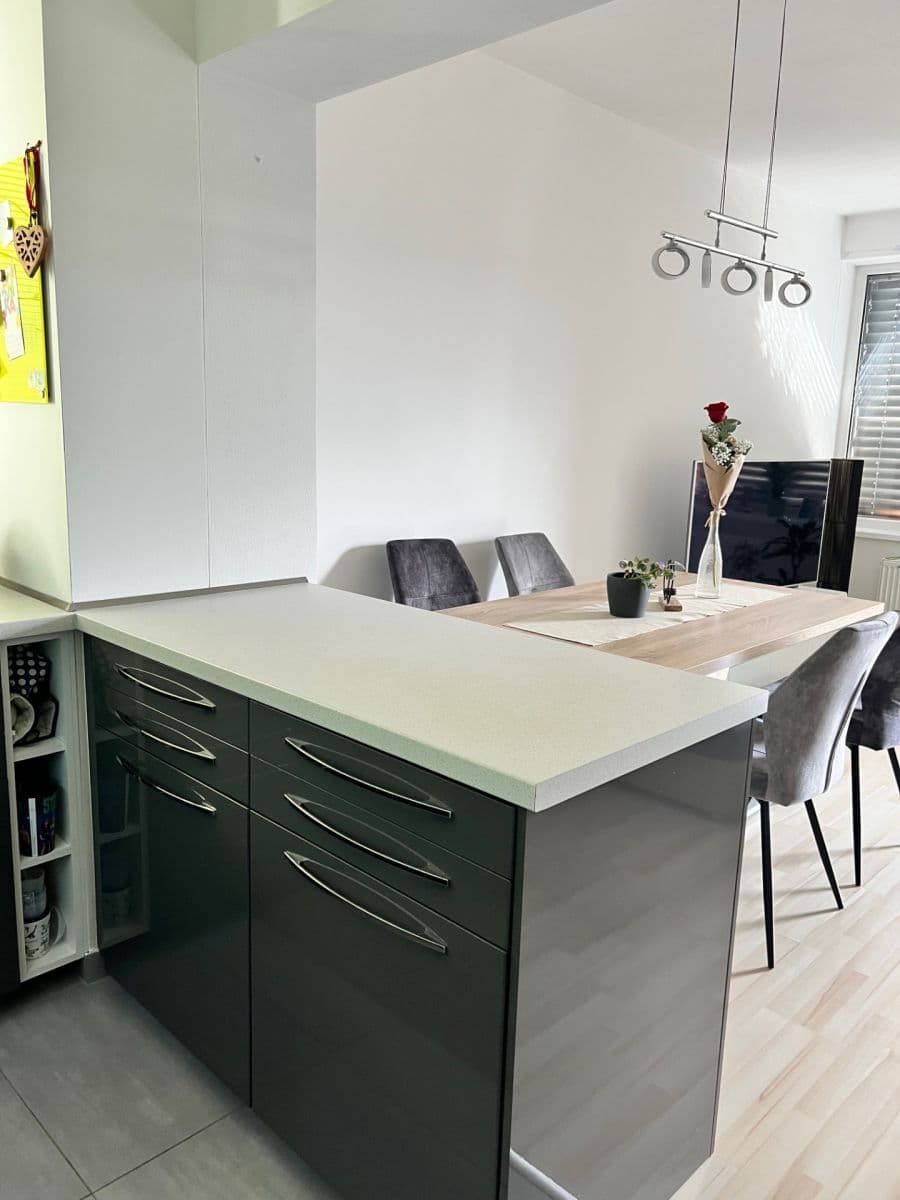 2 bedroom with open-plan kitchen flat for sale, 98 m², U Leskavy, Brno, Jihomoravský Region 2 bedroom with open-plan kitchen flat for sale, 98 m², U Leskavy, Brno, Jihomoravský Region