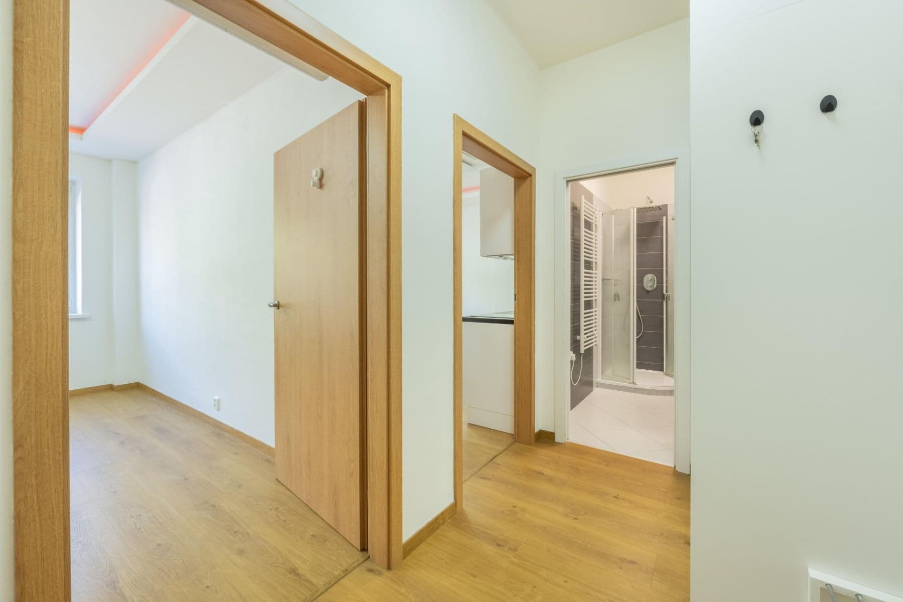 1 bedroom with open-plan kitchen flat to rent, 46 m², Hartigova, Prague, Prague 1 bedroom with open-plan kitchen flat to rent, 46 m², Hartigova, Prague, Prague
