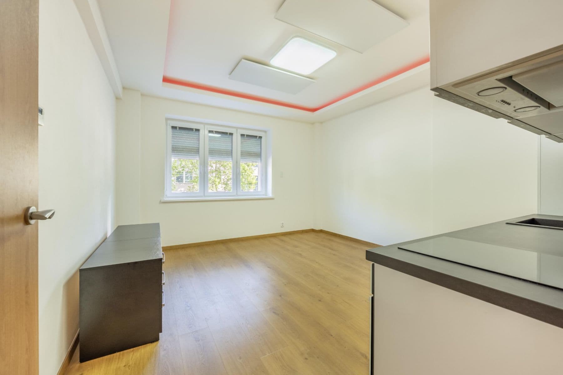 1 bedroom with open-plan kitchen flat to rent, 46 m², Hartigova, Prague, Prague 1 bedroom with open-plan kitchen flat to rent, 46 m², Hartigova, Prague, Prague