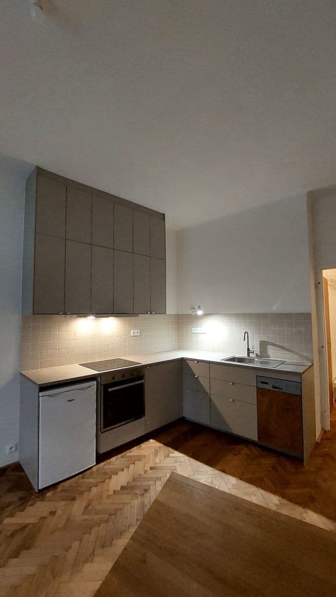 1 bedroom with open-plan kitchen flat to rent, 43 m², Plzeňská, Prague, Prague 1 bedroom with open-plan kitchen flat to rent, 43 m², Plzeňská, Prague, Prague