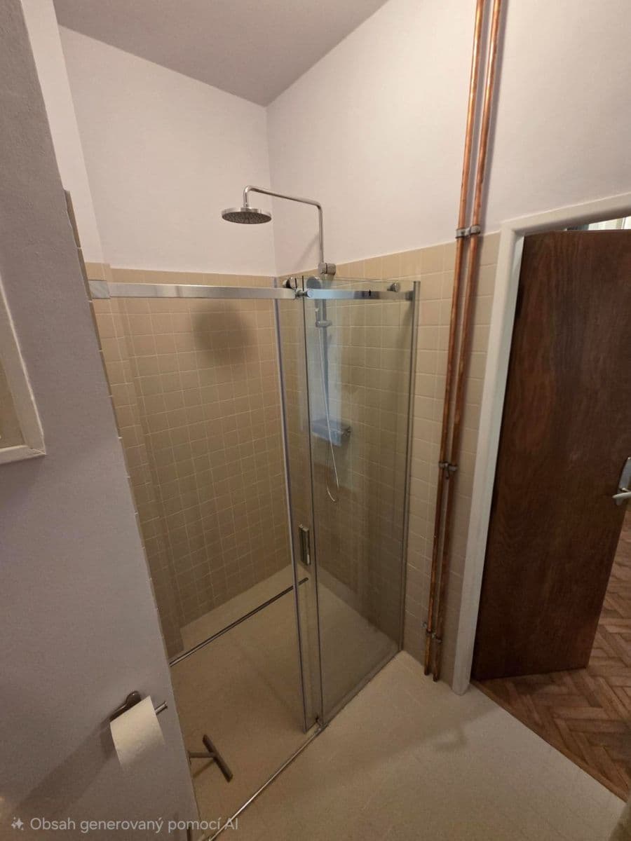 1 bedroom with open-plan kitchen flat to rent, 43 m², Plzeňská, Prague, Prague 1 bedroom with open-plan kitchen flat to rent, 43 m², Plzeňská, Prague, Prague