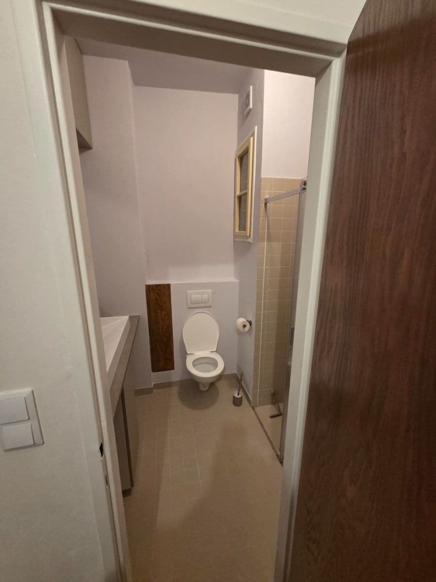 1 bedroom with open-plan kitchen flat to rent, 43 m², Plzeňská, Prague, Prague 1 bedroom with open-plan kitchen flat to rent, 43 m², Plzeňská, Prague, Prague