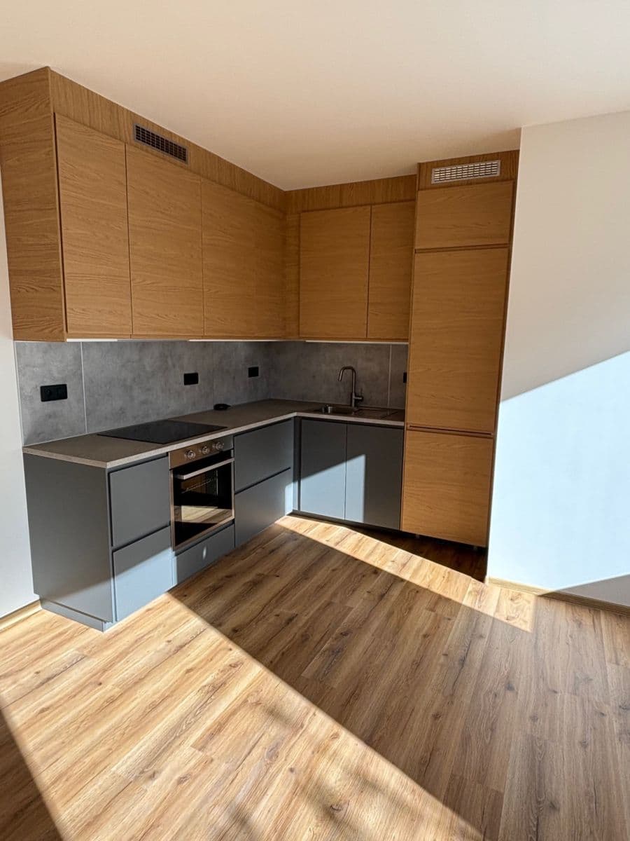 1 bedroom with open-plan kitchen flat to rent, 57 m², Široká, Říčany, Středočeský Region 1 bedroom with open-plan kitchen flat to rent, 57 m², Široká, Říčany, Středočeský Region