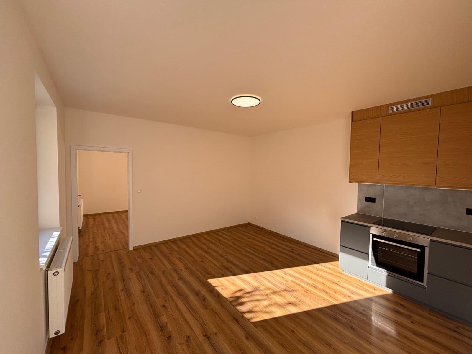 1 bedroom with open-plan kitchen flat to rent, 57 m², Široká, Říčany, Středočeský Region 1 bedroom with open-plan kitchen flat to rent, 57 m², Široká, Říčany, Středočeský Region