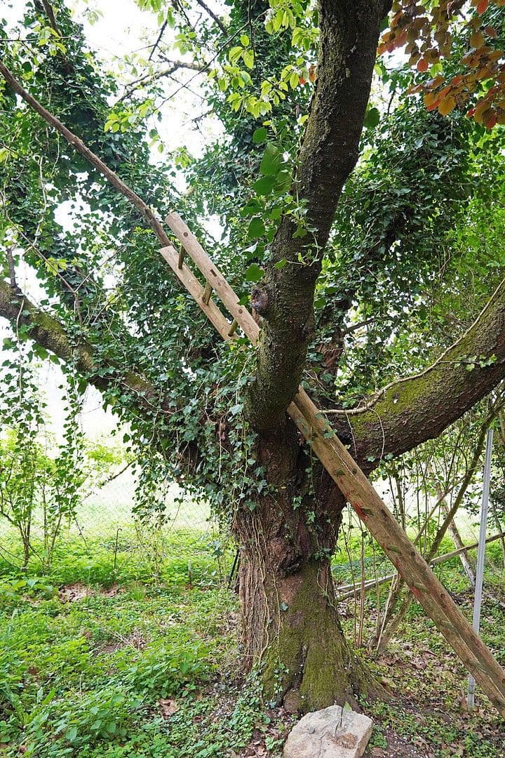 house for sale, 171 m², Untersteinbach 1, Bergisch Gladbach, North Rhine-Westphalia house for sale, 171 m², Untersteinbach 1, Bergisch Gladbach, North Rhine-Westphalia