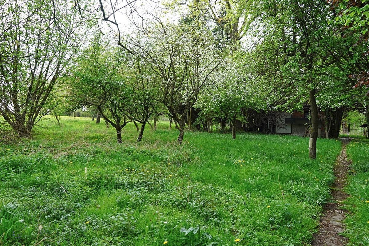 house for sale, 171 m², Untersteinbach 1, Bergisch Gladbach, North Rhine-Westphalia house for sale, 171 m², Untersteinbach 1, Bergisch Gladbach, North Rhine-Westphalia