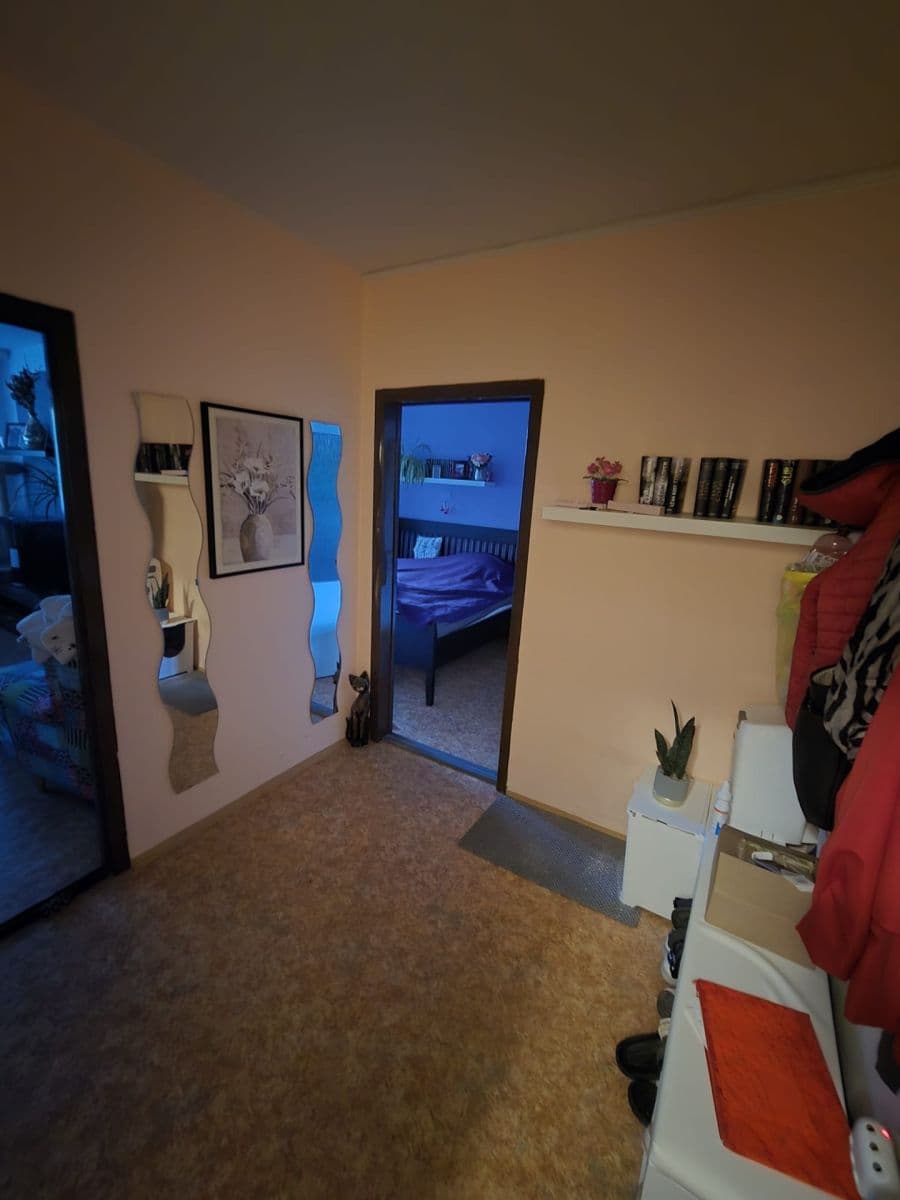 1 bedroom with open-plan kitchen flat for sale, 46 m², Voskovcova, Prague, Prague 1 bedroom with open-plan kitchen flat for sale, 46 m², Voskovcova, Prague, Prague