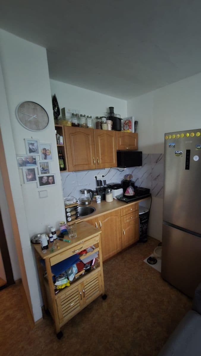 1 bedroom with open-plan kitchen flat for sale, 46 m², Voskovcova, Prague, Prague 1 bedroom with open-plan kitchen flat for sale, 46 m², Voskovcova, Prague, Prague