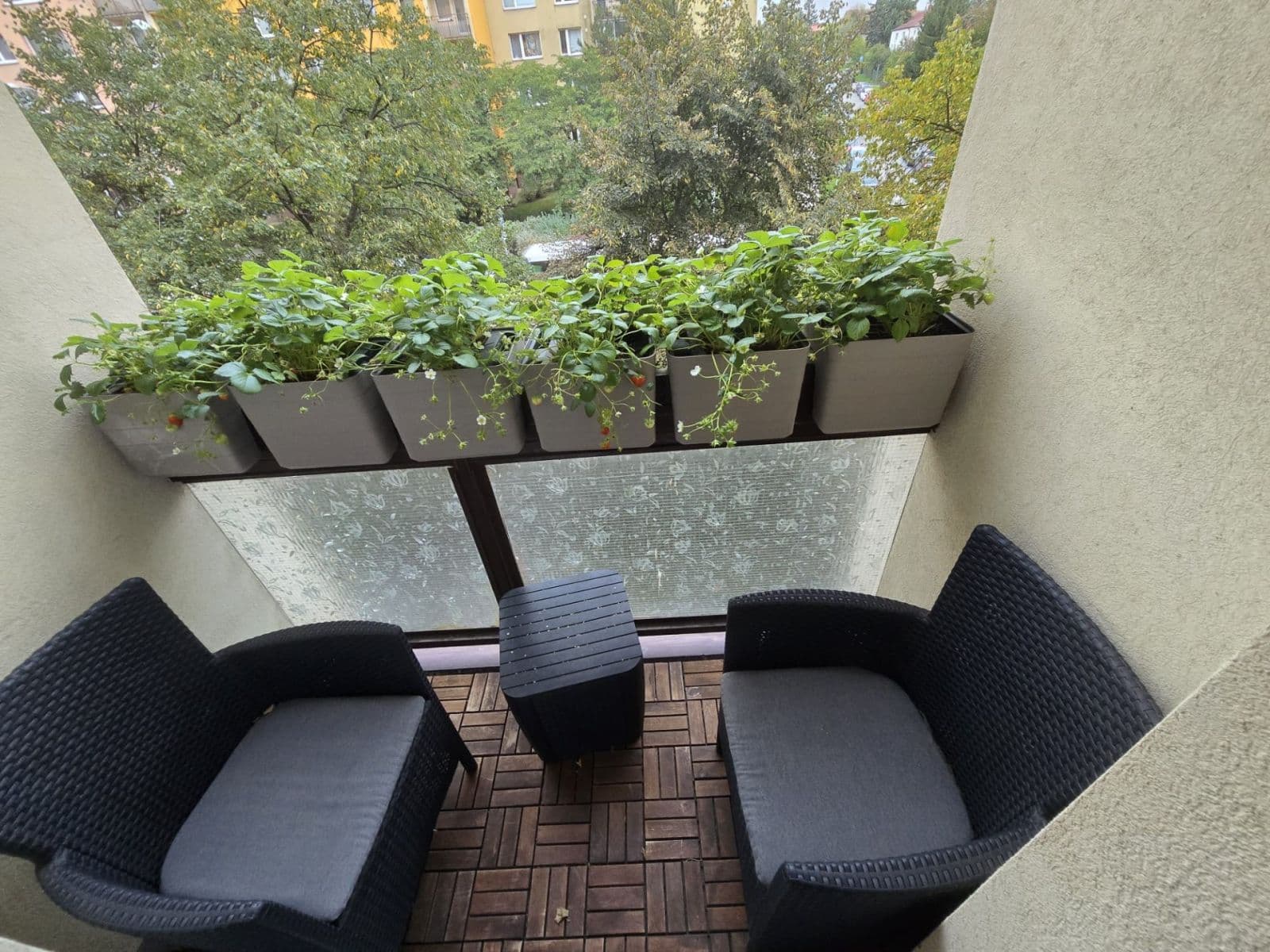 1 bedroom with open-plan kitchen flat for sale, 46 m², Voskovcova, Prague, Prague 1 bedroom with open-plan kitchen flat for sale, 46 m², Voskovcova, Prague, Prague