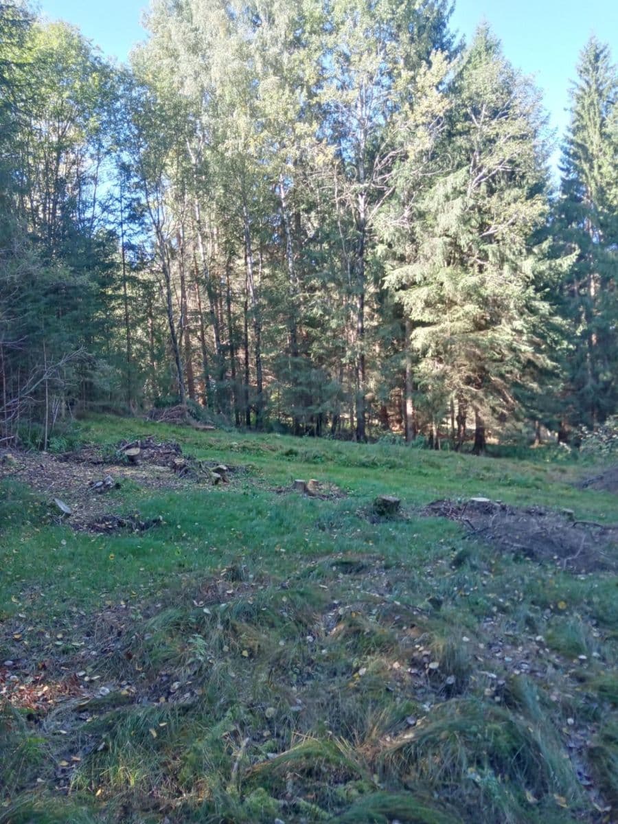 plot for sale, 765 m², Frymburk, Jihočeský Region plot for sale, 765 m², Frymburk, Jihočeský Region