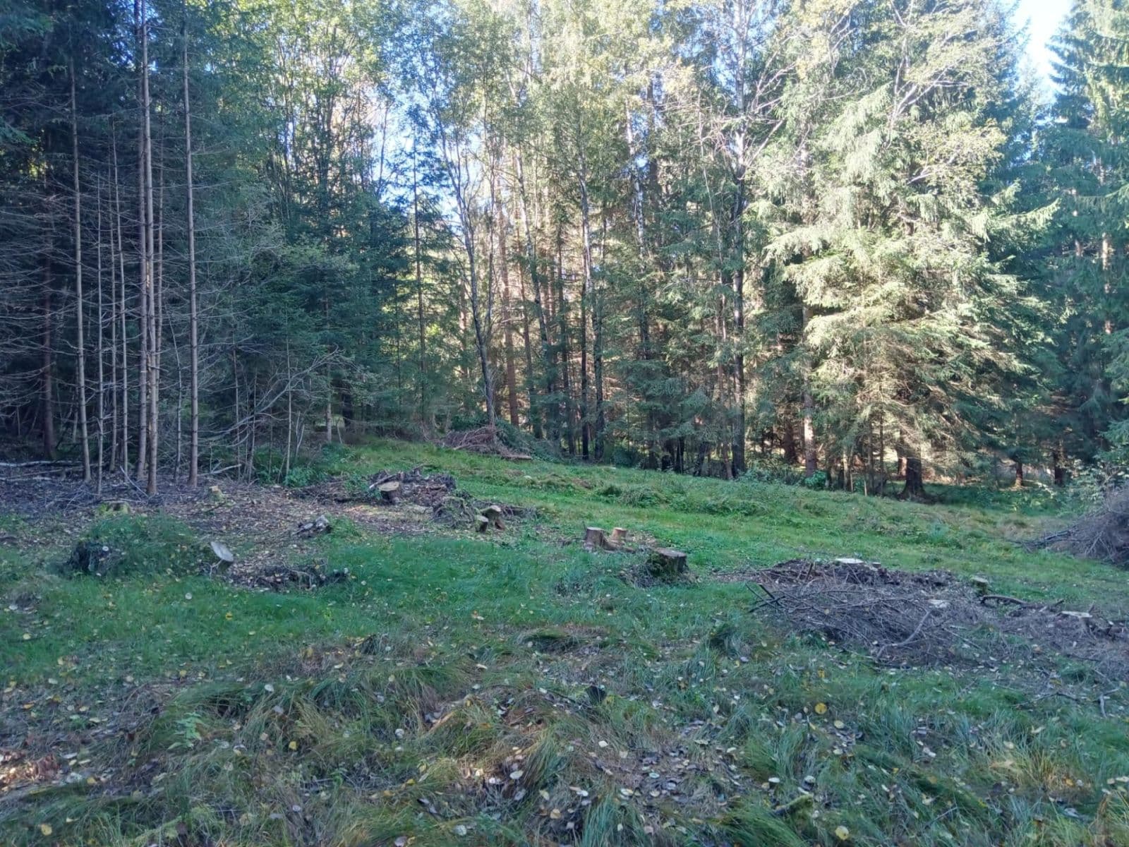 plot for sale, 765 m², Frymburk, Jihočeský Region plot for sale, 765 m², Frymburk, Jihočeský Region