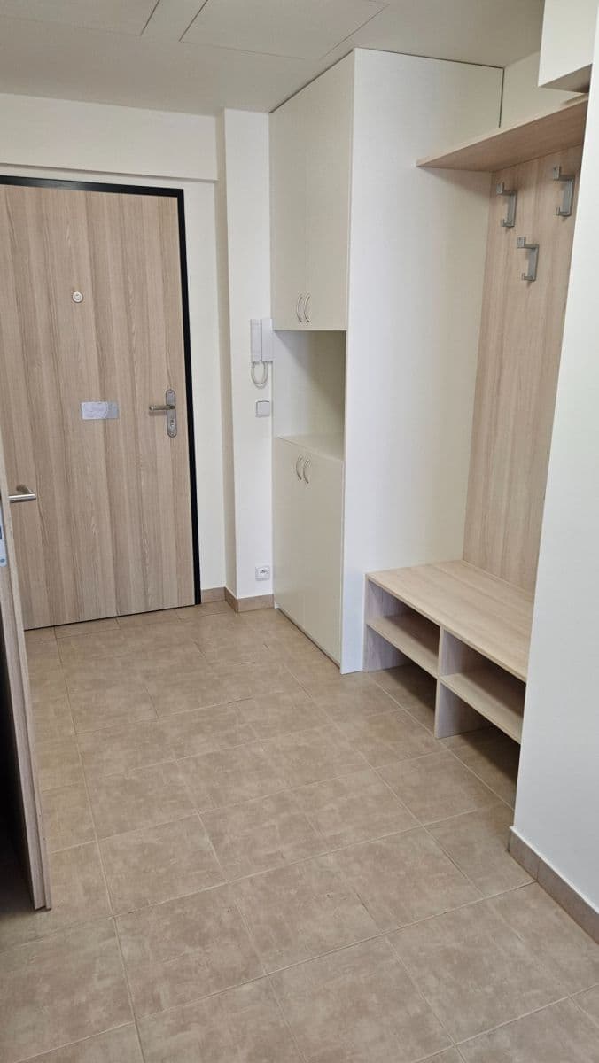 1 bedroom with open-plan kitchen flat to rent, 53 m², Sinkulova, Prague, Prague 1 bedroom with open-plan kitchen flat to rent, 53 m², Sinkulova, Prague, Prague
