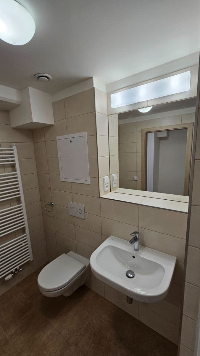 1 bedroom with open-plan kitchen flat to rent, 53 m², Sinkulova, Prague, Prague 1 bedroom with open-plan kitchen flat to rent, 53 m², Sinkulova, Prague, Prague