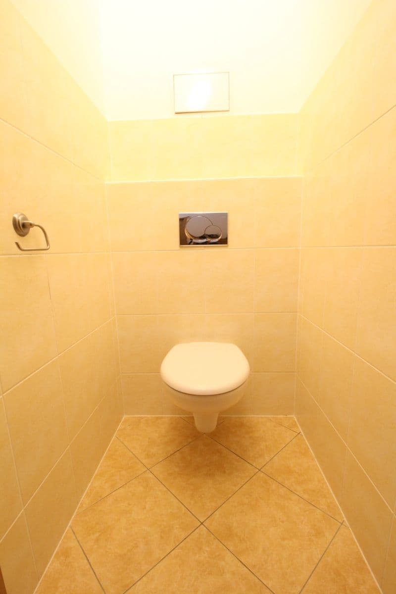 1 bedroom with open-plan kitchen flat to rent, 55 m², Laudonova, Prague, Prague 1 bedroom with open-plan kitchen flat to rent, 55 m², Laudonova, Prague, Prague